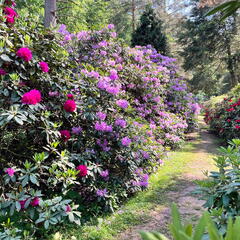 23-06-03 16-47-55 5799